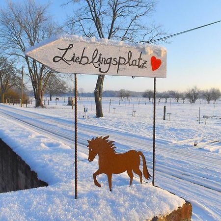 Ferienwohnung Auf Pferdehof Dreetz Dış mekan fotoğraf