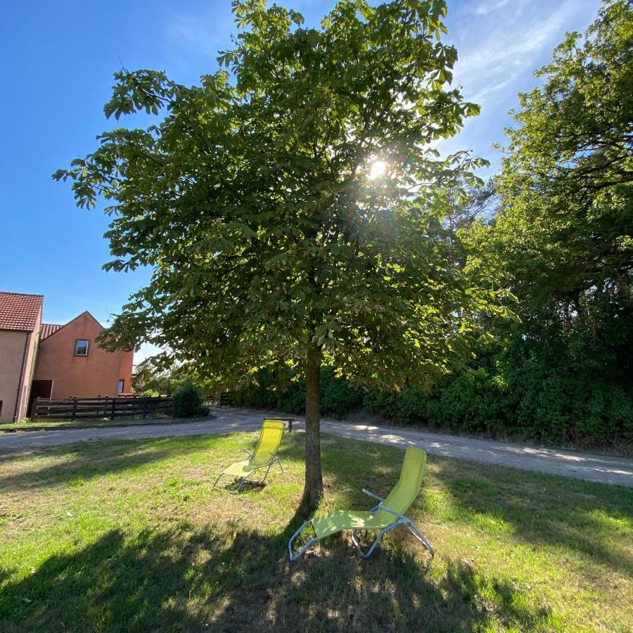 Ferienwohnung Auf Pferdehof Dreetz Dış mekan fotoğraf