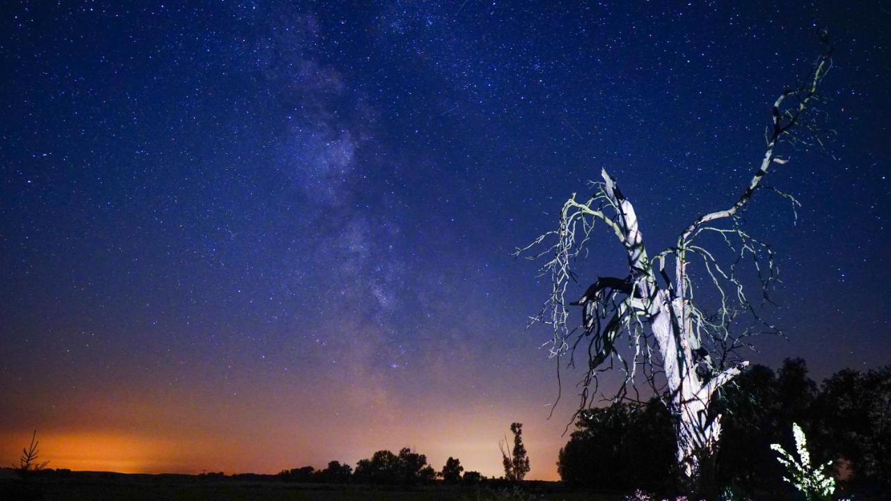 Ferienwohnung Auf Pferdehof Dreetz Dış mekan fotoğraf