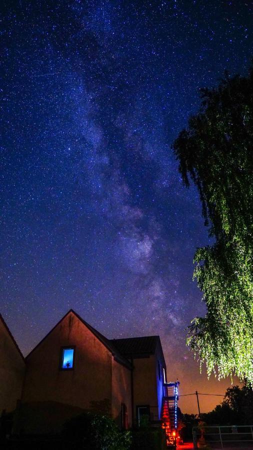 Ferienwohnung Auf Pferdehof Dreetz Dış mekan fotoğraf