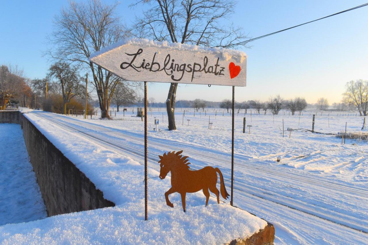 Ferienwohnung Auf Pferdehof Dreetz Dış mekan fotoğraf