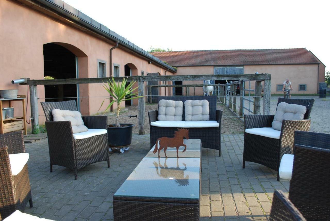Ferienwohnung Auf Pferdehof Dreetz Dış mekan fotoğraf
