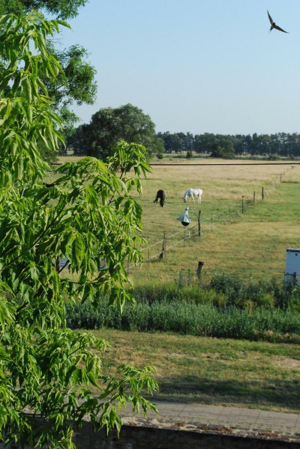 Ferienwohnung Auf Pferdehof Dreetz Dış mekan fotoğraf