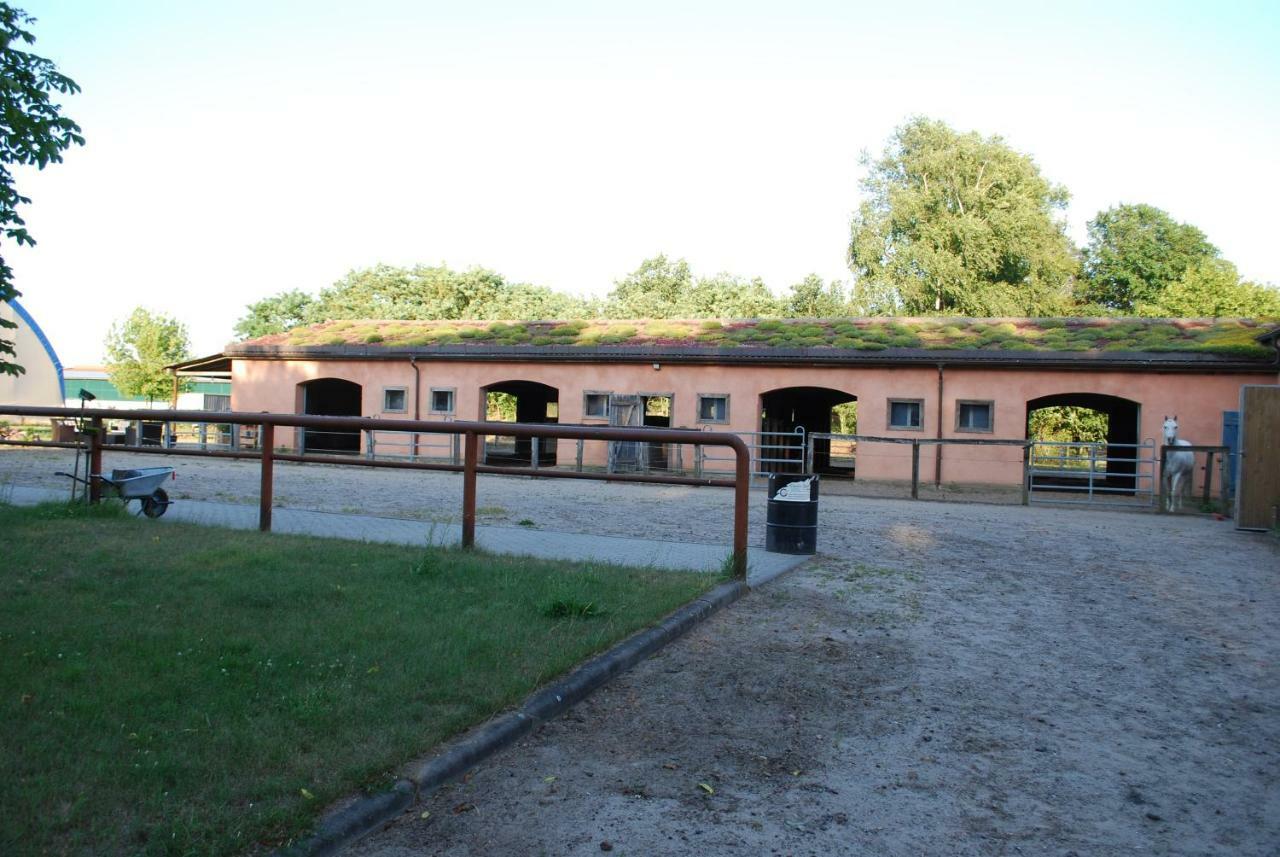 Ferienwohnung Auf Pferdehof Dreetz Dış mekan fotoğraf