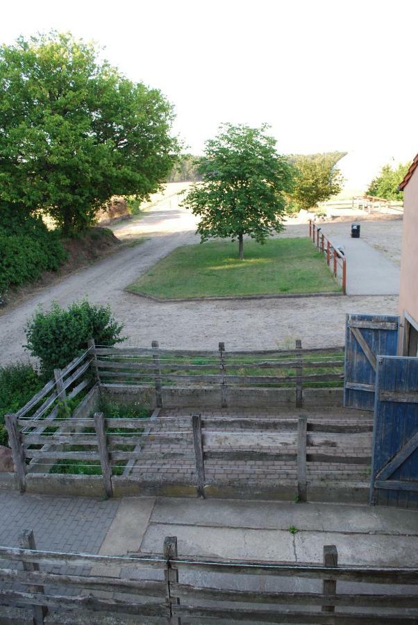 Ferienwohnung Auf Pferdehof Dreetz Dış mekan fotoğraf